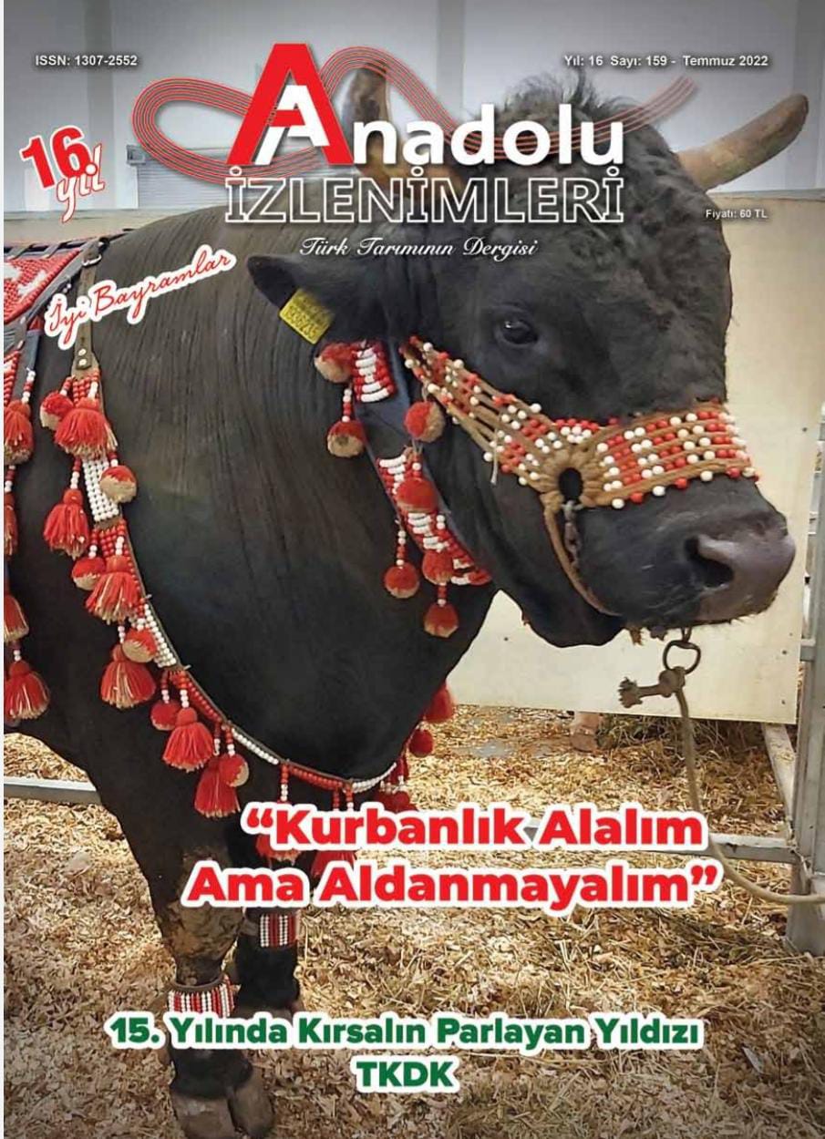 Anadolu İzlenimleri - 19.07.2022 Manşeti