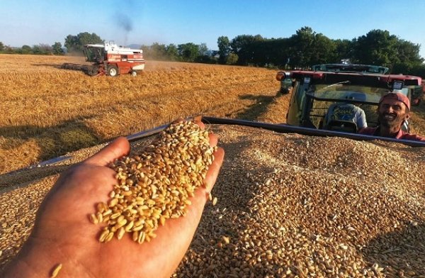 TÜİK Açıkladı: Üretimde Rakamlar Ne Anlatıyor?