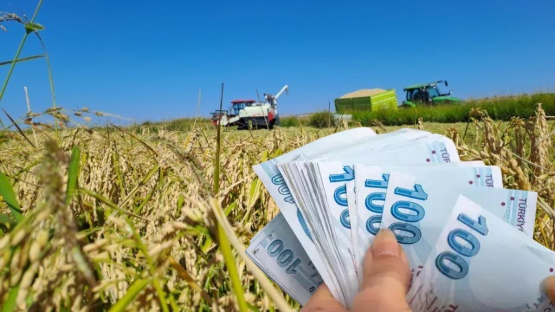 TMO’dan Çeltik Üreticilerine 97 Milyon TL’lik Ödeme