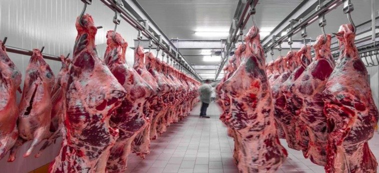 Kırmızı Et  Fiyatları Manipülasyonla mı Şişirildi?