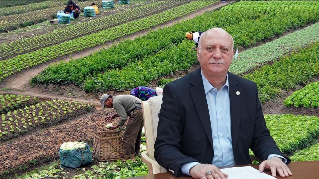 TZOB Girdi Fiyatlarında Yaşanan Çarpıcı Değişimi Gözler Önüne Serdi!