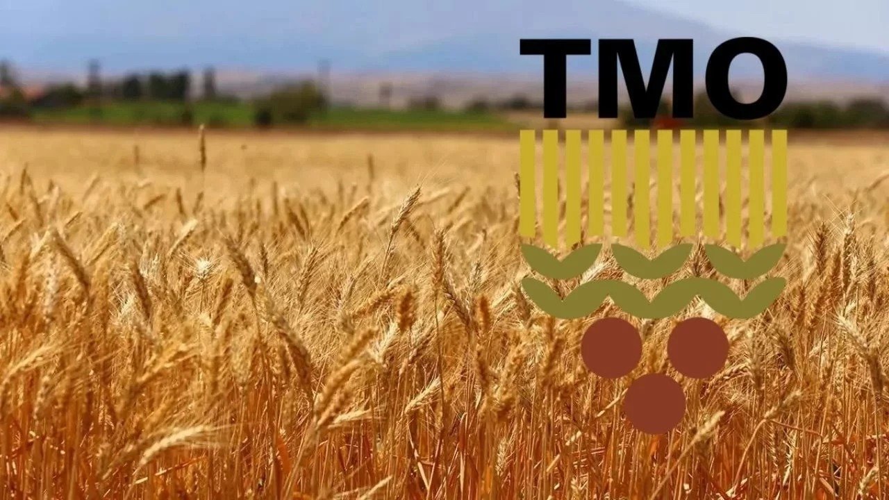 Zam Tartışmalarına Nokta: TMO Kararını Duyurdu