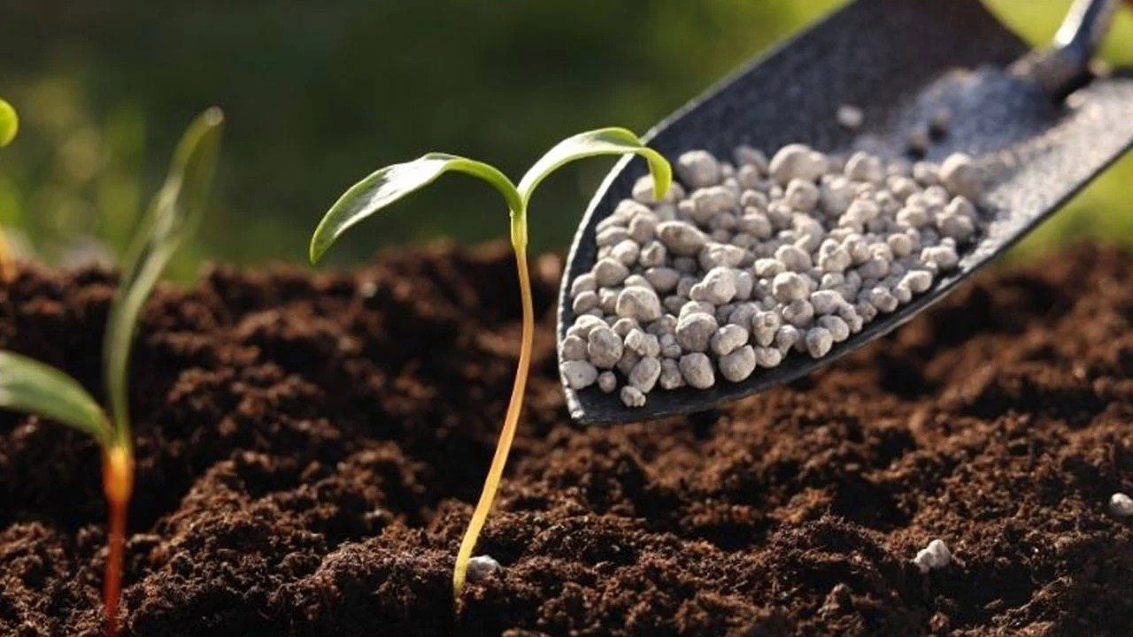 Ticaret Bakanlığı Gübrede Vergiyi Sıfırladı!