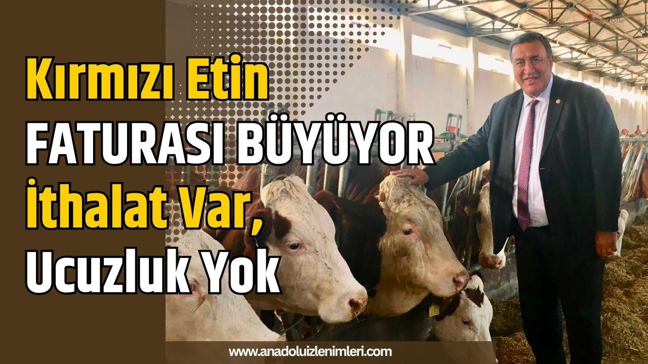 Kırmızı Etin Faturası Büyüyor: İthalat Var, Ucuzluk Yok