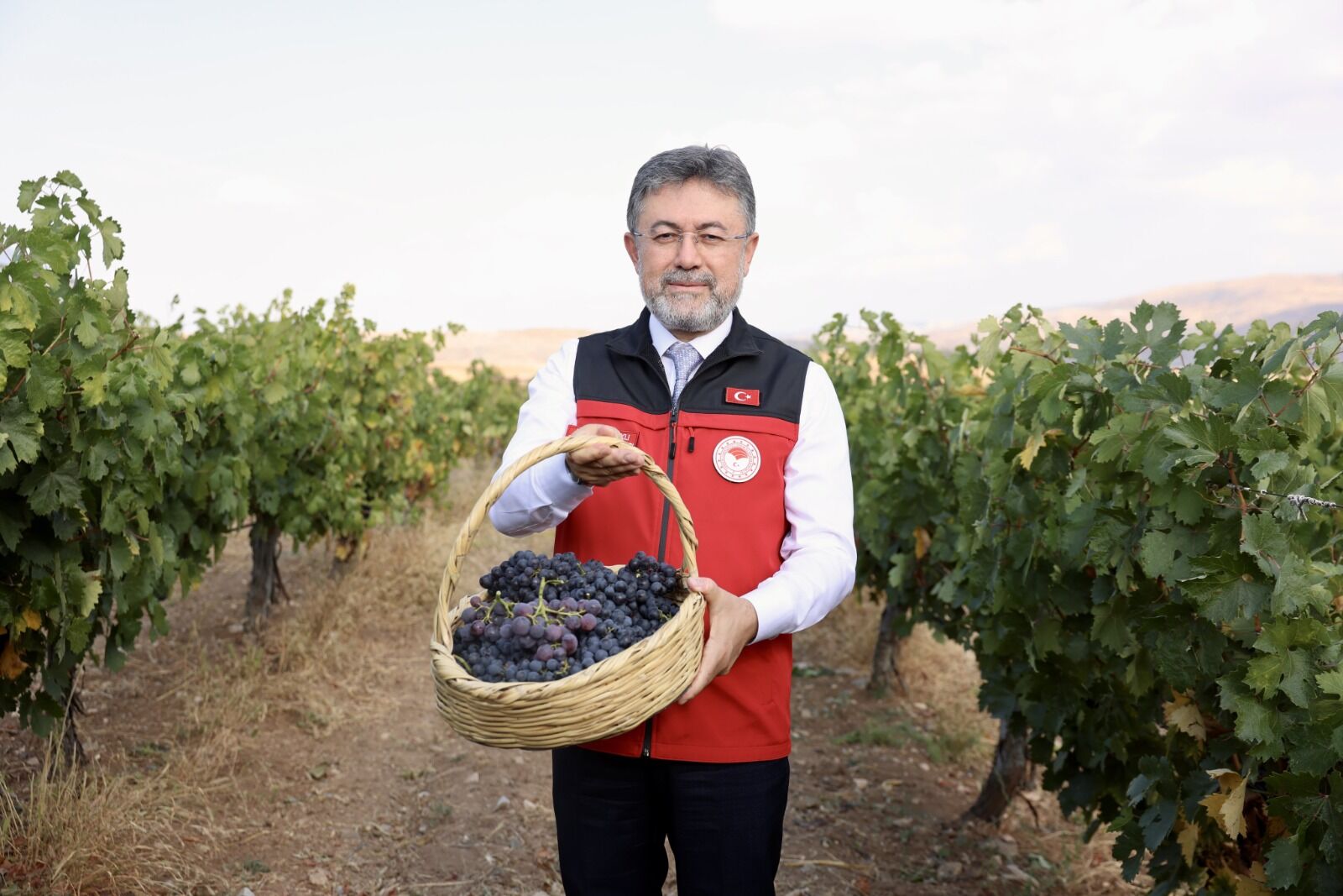 Tarım