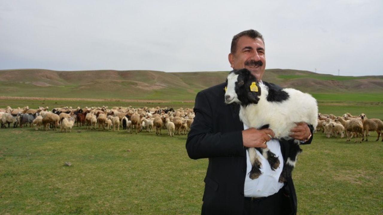 Çelik: “Yetiştiricilerimizin kurallara riayet etmesini tavsiye ediyoruz”