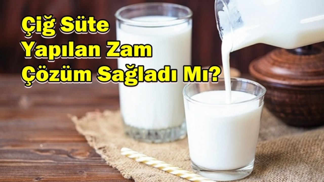 Çiğ Süte Yapılan Zam Çözüm Sağladı Mı?