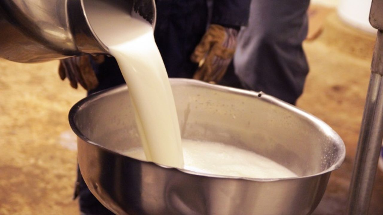 Çiğ Süt Üreticisine Bu Kez Müjde!