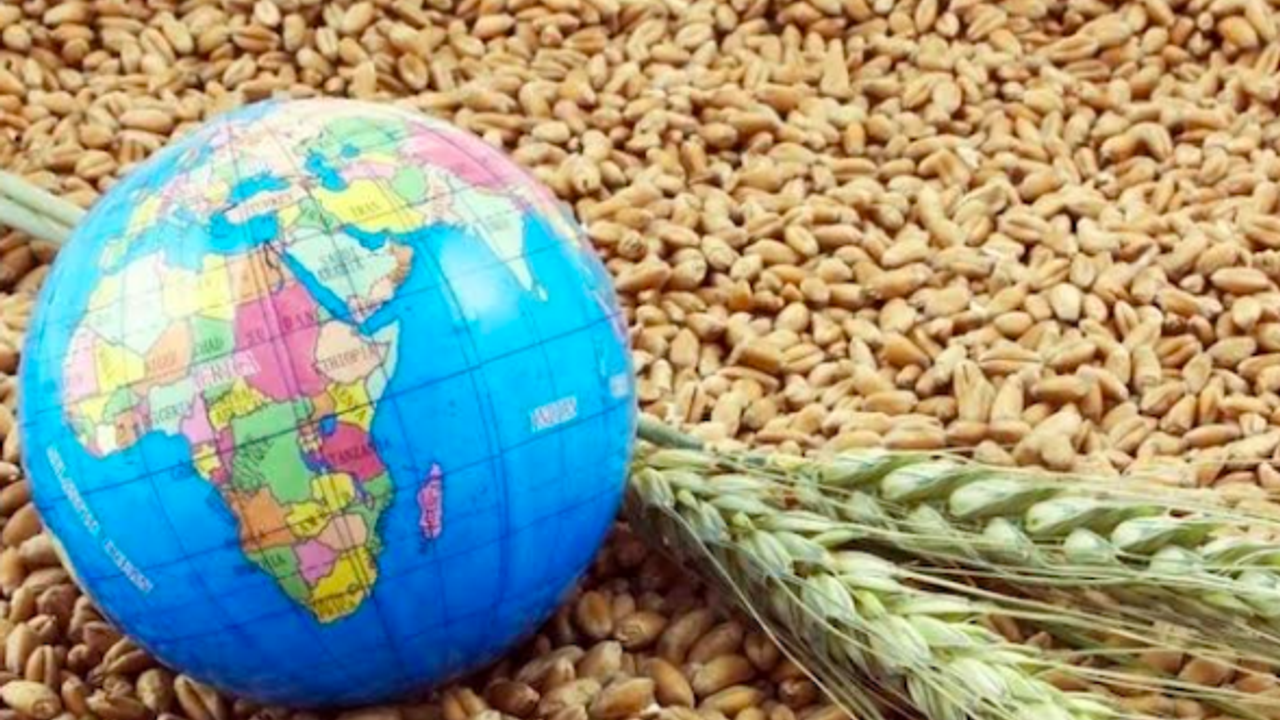Küresel Gıda Fiyatları Yükseldi