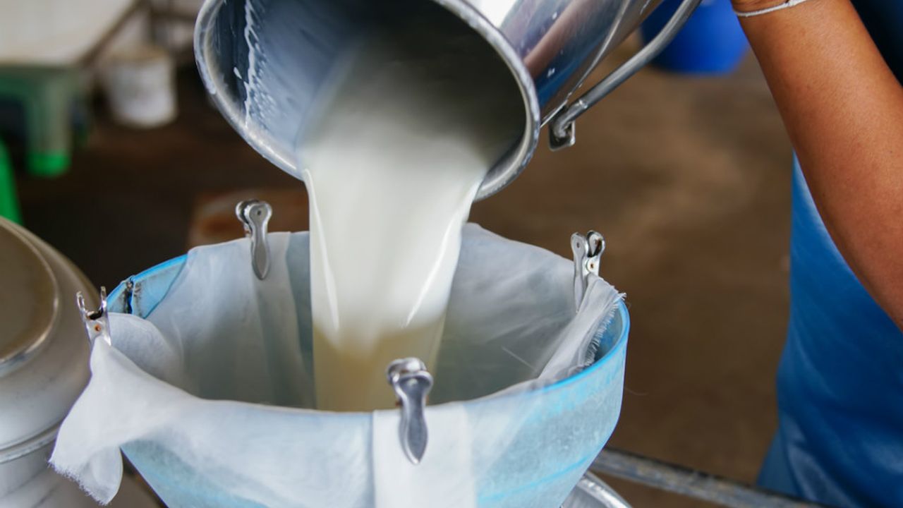 Çiğ Süt Destek Ödemeleri Bugün Hesaplara Aktarılıyor!