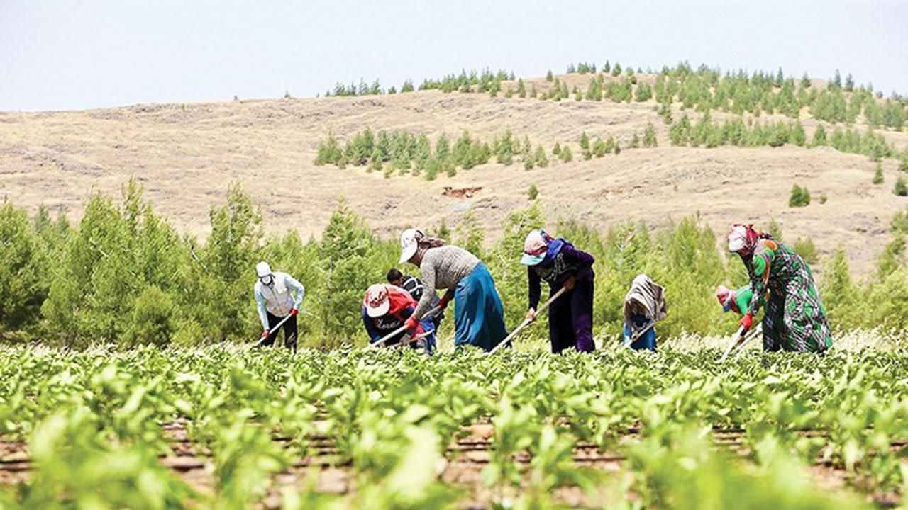 TZOB Genel Başkanı Şemsi Bayraktar: Çiftçilerin Mağduriyeti Giderilmeli!