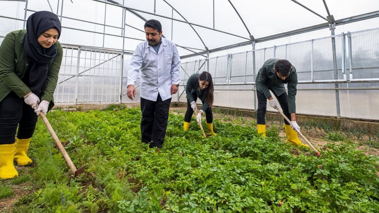 MEB: Tarım Liseleri Artırılarak Türkiye Tarım Üssü Haline Gelecek