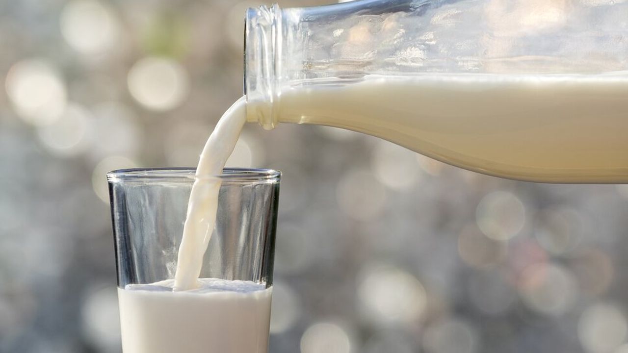 TÜİK Verileri Açıkladı! Süt Üretiminde Düşüş mü Yaşanıyor?