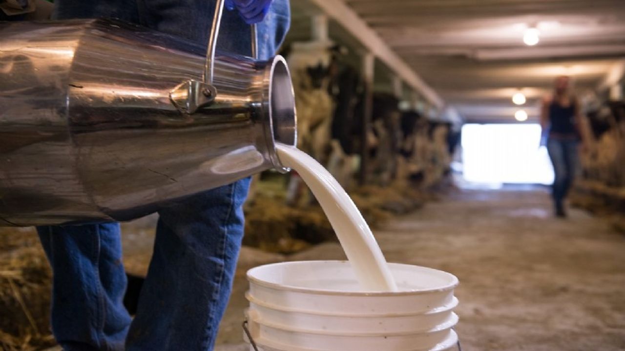 Üreticiye 1 Milyar Çiğ Süt Desteği Ödenecek!