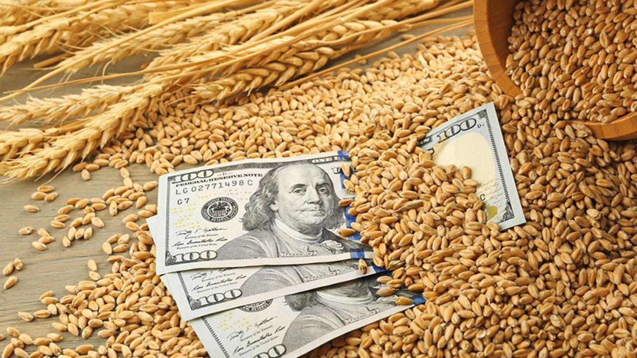 IMF: Küresel Tahıl Fiyatları Yükselecek