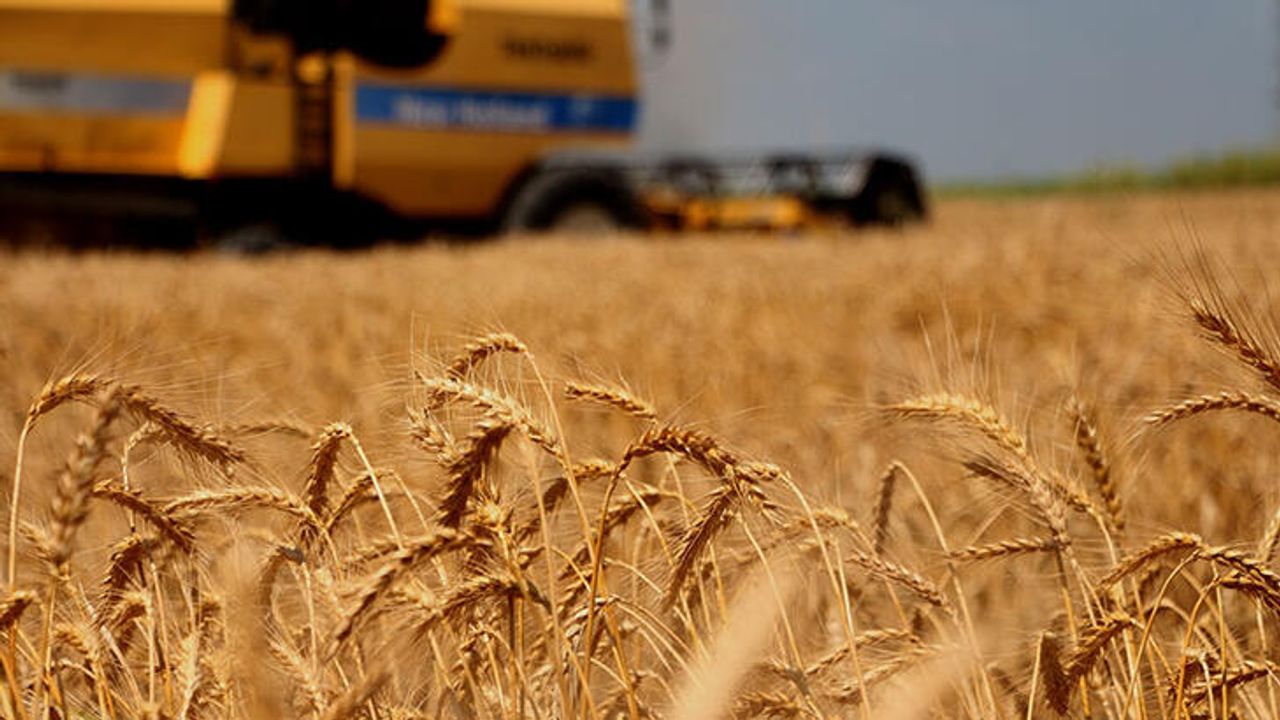 Kritik Anlaşmanın Sonu! Buğday Fiyatları Yükseldi mi?