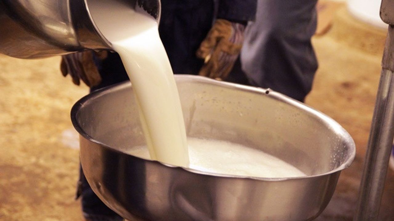 Ulusal Süt Konseyi Çiğ Süt Fiyatı İle İlgili Yeni Karar Aldı!