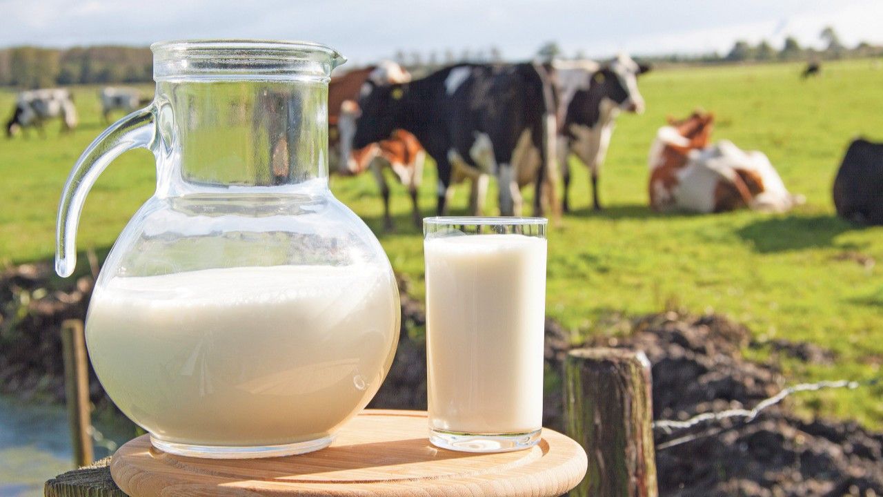 TÜİK Açıkladı: İçme Sütü Üretimi Azalıyor!