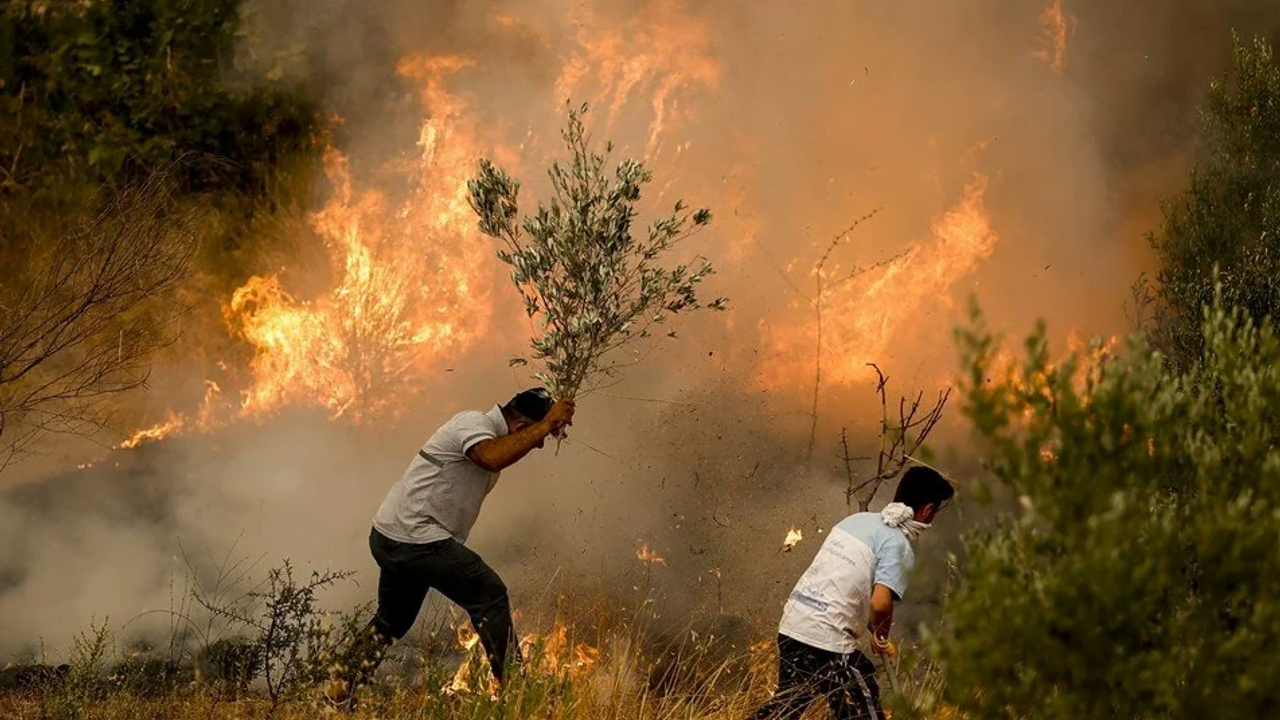 Orman Yangınlarıyla Mücadelede Toplumun Rolü!