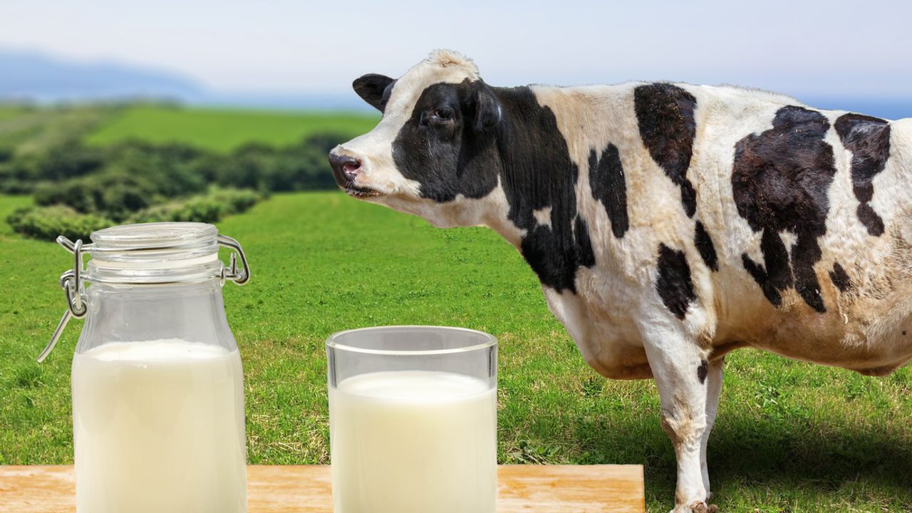 Ulusal Süt Konseyi Çiğ Süt Satış Fiyatını Açıkladı!