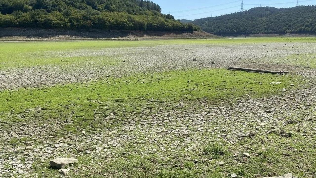 İstanbul’un Su Kaynağı Tehlikede: Gölet Tamamen Kurudu!