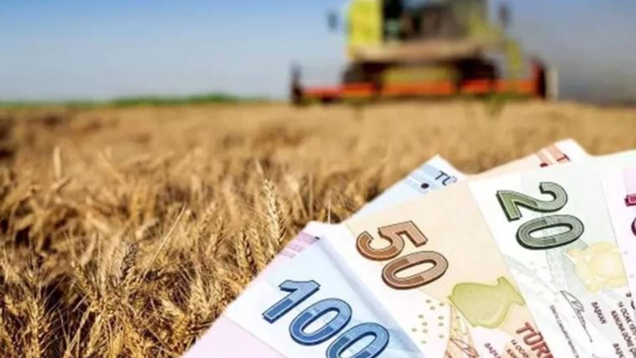 13 Milyon TL’lik Tarımsal Destekleme Ödemeleri Hesaplara Aktarılıyor!