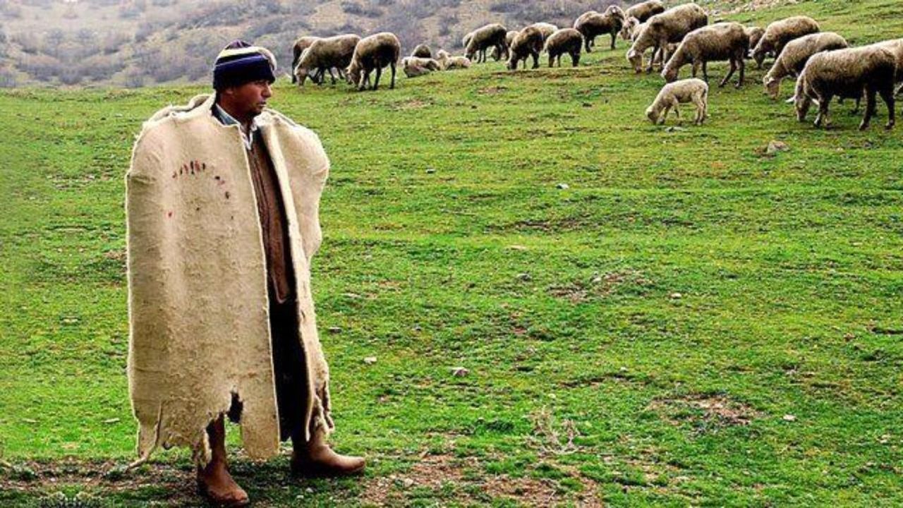 Nihat Çelik: Çobanların Sosyal Güvenlik Sorunları Çözülmelidir