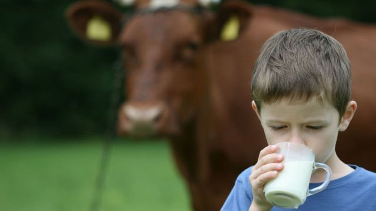 TÜİK Açıkladı: İçme Sütü Üretimi Azaldı!