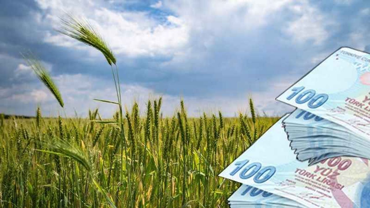 29 Milyon TL’lik Tarımsal Destekleme Ödemeleri Bugün Hesaplara Aktarılıyor!