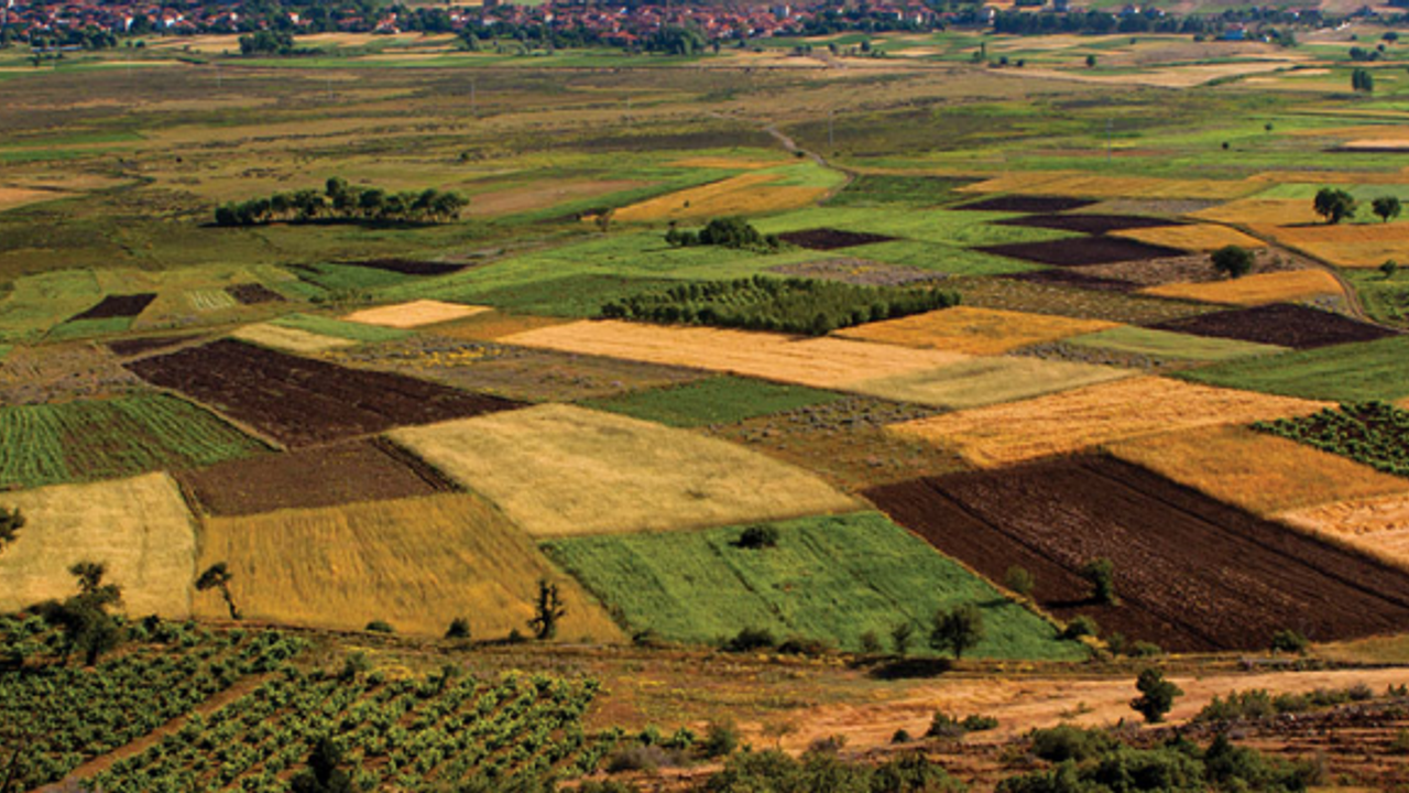 Tarımsal Üretimde Tehdit! Türkiye’de Tarım Alanları Daralıyor