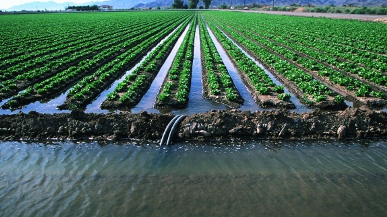 Toprak, Bitki ve Su Analizleri İle Çiftçilerin Maliyetleri Sıfırlanıyor!