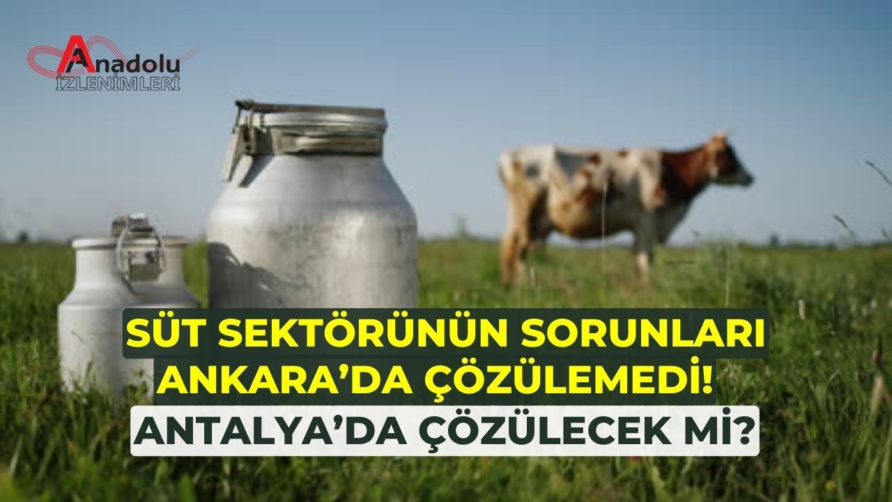 Süt Sektörünün Sorunları Ankara’da Çözülemedi! Antalya’da Çözülecek mi?