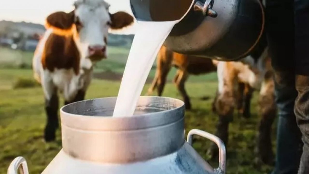 ‘Çiğ Sütün AB Kriterlerine Uyumlu Hale Getirilmesini Bekliyoruz’!