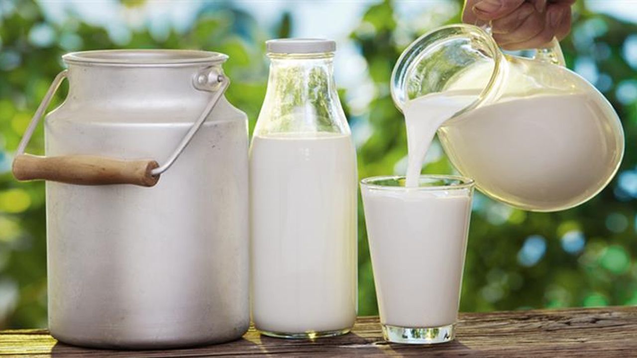Büyükşehir Çiğ Süt Alım Fiyatını Yüzde 76 Artırdı!