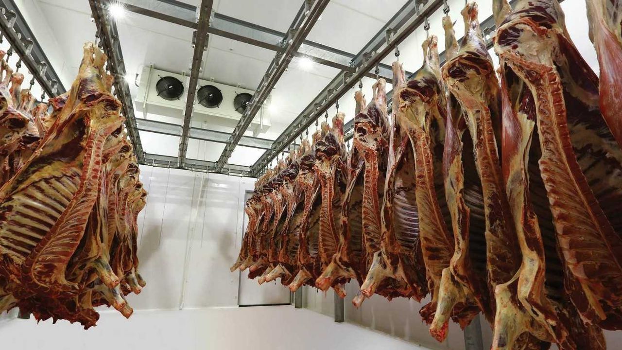 UKON Açıkladı: İşte Et Fiyatlarındaki Son Gelişme!