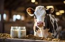 TÜSEDAD’dan Çiğ Süt İçin Rekabet Kurumu Uyarısı!