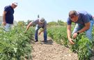 Tarımda Maliyet Baskısı Derinleşiyor!