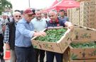 Büyükşehirden Üreticiye Fide Desteği!