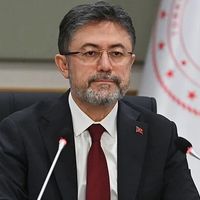 Tarım