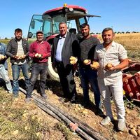 Hayvancılık