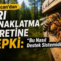 Hayvancılık