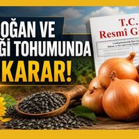 Gıda