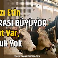 Hayvancılık