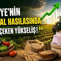 Tarım