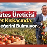 Gıda