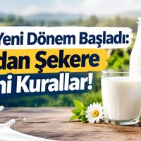 Gıda