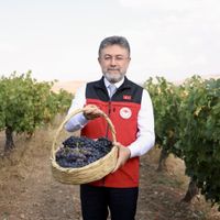 Tarım