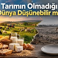 Tarım