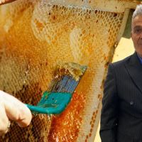 Gıda