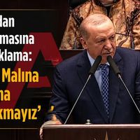 Politika